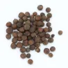 Piment de la Jamaïque ou quatre-épices - MesZépices - Achat, utilisation et recettes
