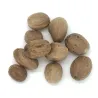 Noix de muscade - MesZépices - Achat, utilisation et recettes