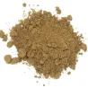 Céleri brun en poudre - MesZépices - Achat, utilisation et recettes