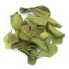 Feuilles de combava - MesZépices - Achat, utilisation et recettes