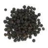 Poivre pourpre Antalaha de Kaominina - Achat, utilisation et recettes