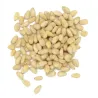 Pignons de pin Sibirica - Achat, utilisation et recettes