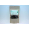 Raisins secs sultanines BIO