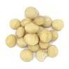 Noix de macadamia