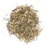 Verveine officinale (ou verveine sauvage) MesZépices - achat et utilisations