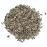 Chardon Marie en graines