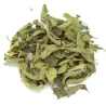 Verveine odorante (ou verveine citronnée) MesZépices - Achat et utilisations