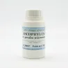 Ascophyllum nodosum