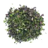 Salade d'algues de mer