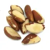 Noix du Brésil - Achat, utilisation et recettes
