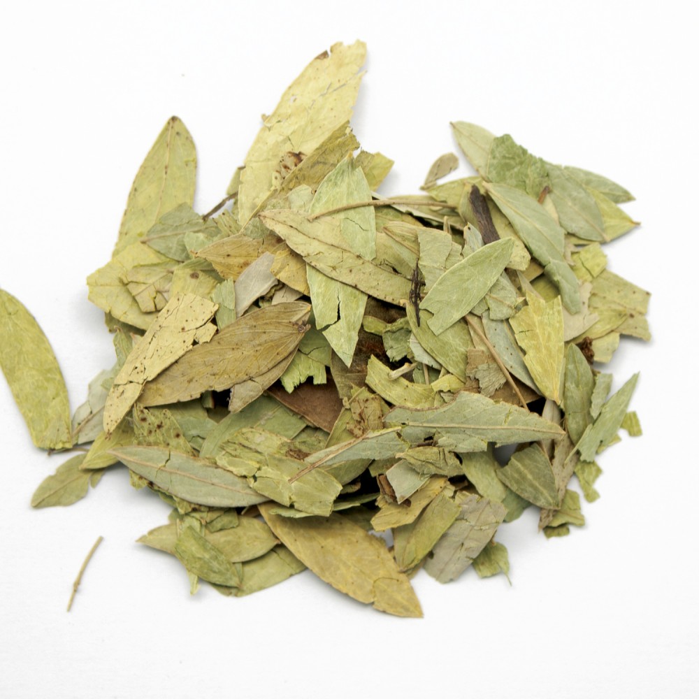 Séné feuilles – Les thés d'Argenteuil