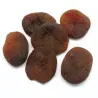 Abricots secs BIO