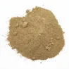 Radis noir en poudre