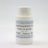 Racine d'harpagophytum en poudre MesZépices - Achat et utilisations