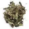 Mélisse officinale feuilles entières
