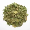 Moringa feuilles