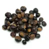 Guarana en graines