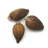 Cardamome noire - MesZépices - Achat, utilisation et recettes