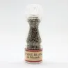 Poivre blanc de Muntok - Achat, utilisation et recettes