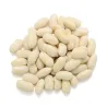 Haricots blancs - MesZépices - Achat, utilisations, recettes