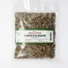 Chardon Marie en graines