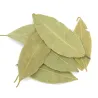 Laurier en feuilles - MesZépices - Achat, utilisation et recettes