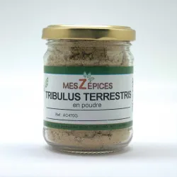 Tribulus terrestris en poudre