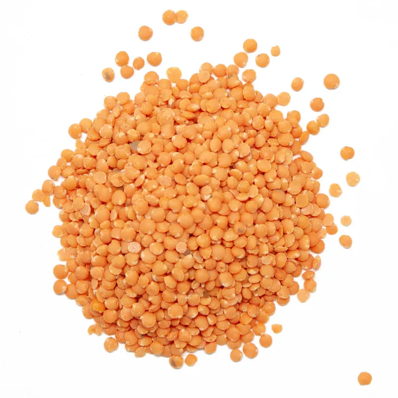 Lentilles corail BIO
