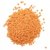 Lentilles corail BIO